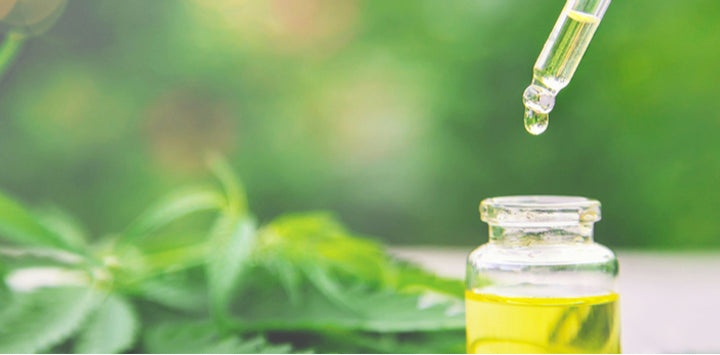 How To Take CBD Oil