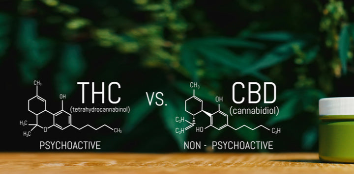 CBD Vs THC: What’s The Difference?