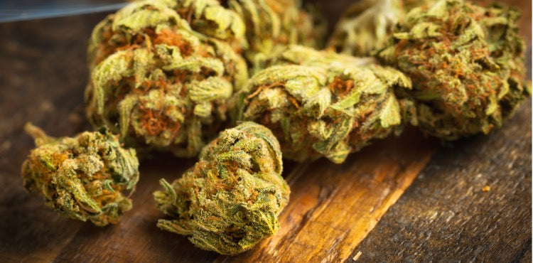 What is an indica dominant strain?